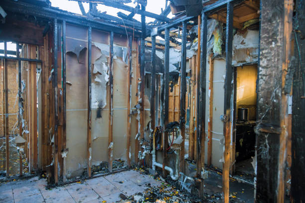 Professional Fire Damage Cleanup technician working in Paeonian Springs, VA