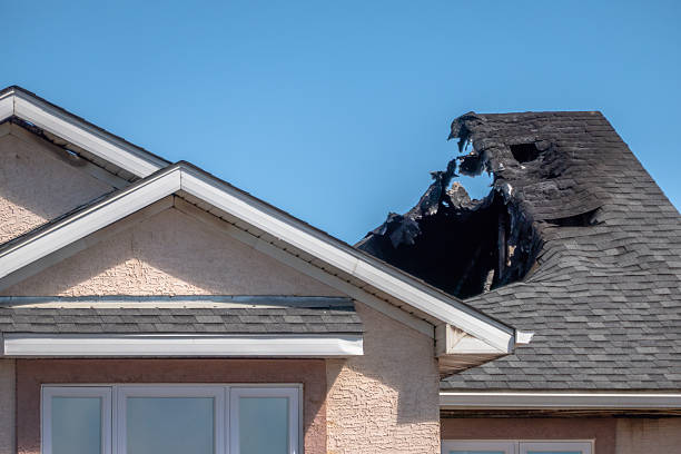 Top rated local Fire Damage Cleanup specialists in Paeonian Springs, VA